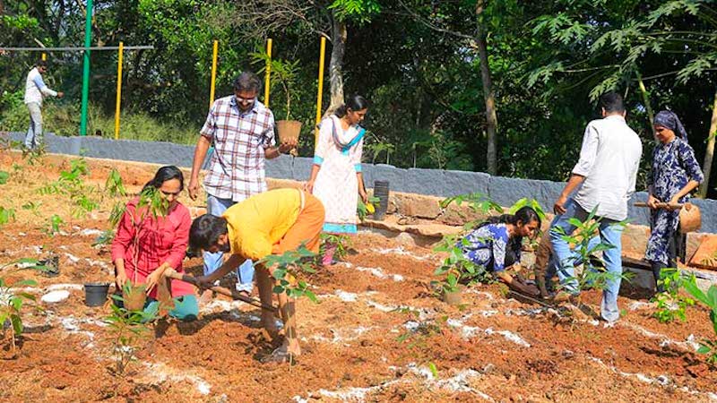 Saplings being planted in Thiruvananthapuram. dense forest