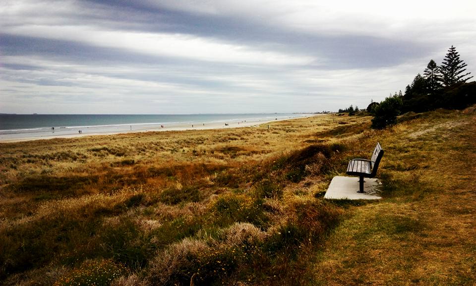 Bench near beach in Tauranga New Zealand