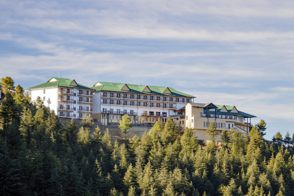 Taj Theog Resort and Spa Shimla