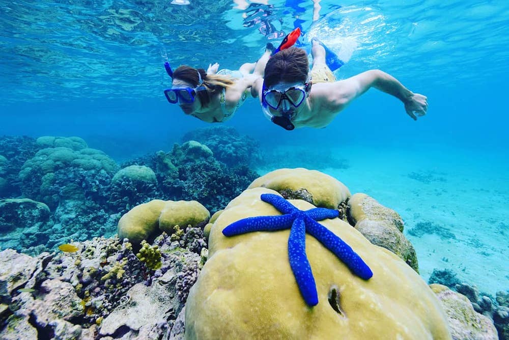Snorkelling in the Solomon Islands