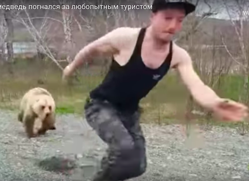Bear chases tourist in Russia