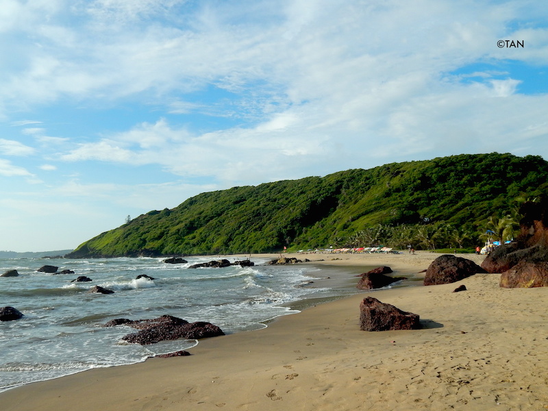A beach in north Goa