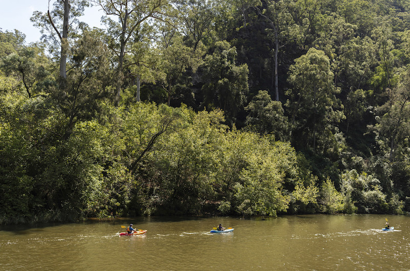 Kayakers enjoying a day out on the Nepean River, Jamisontown