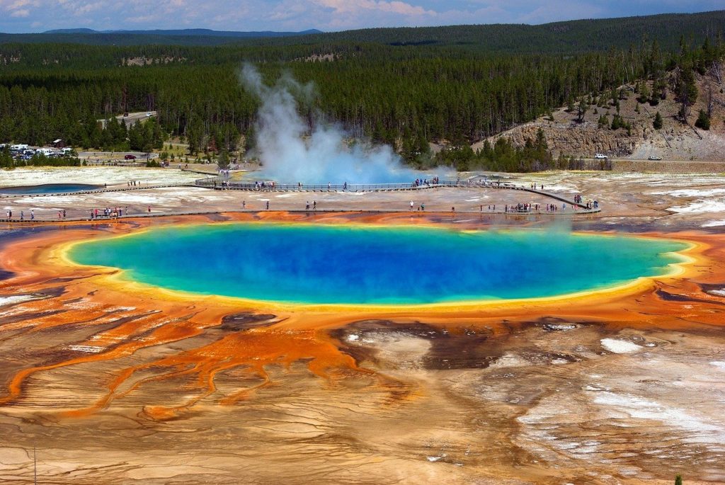 Yellowstone National Park, USA﻿