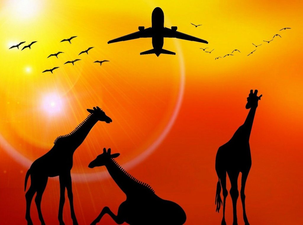 African airlines