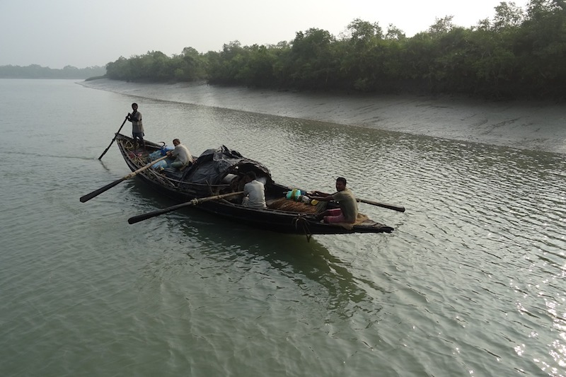 Sunderbans