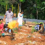 Saplings being planted in Thiruvananthapuram, Kerala, India