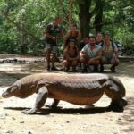 Visitors observe a Komodo Dragon