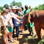 Tourists with elephant calf in Kenya